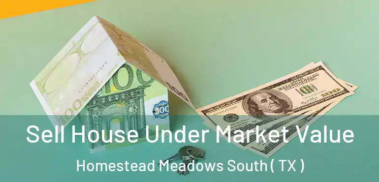  Sell House Under Market Value Homestead Meadows South ( TX )