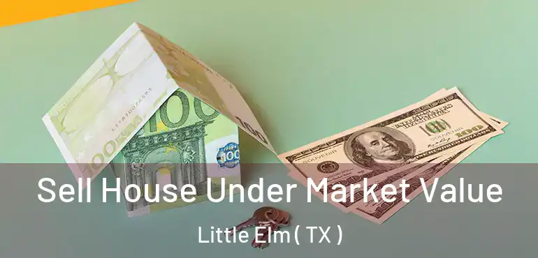  Sell House Under Market Value Little Elm ( TX )