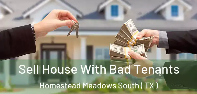 Sell House With Bad Tenants Homestead Meadows South ( TX )