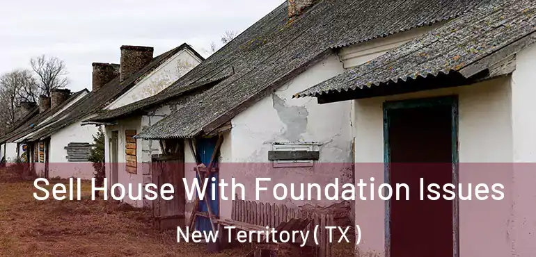  Sell House With Foundation Issues New Territory ( TX )