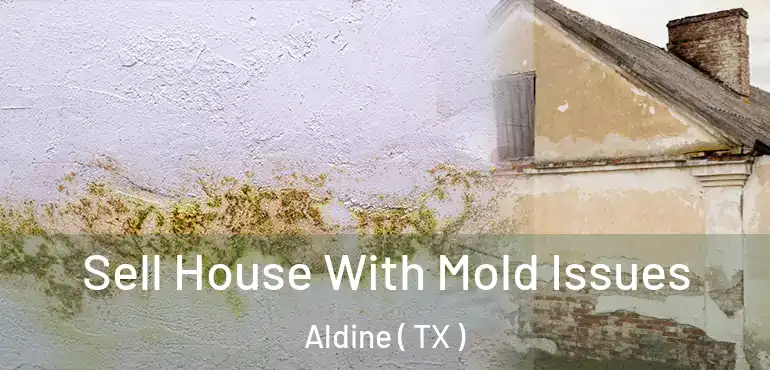  Sell House With Mold Issues Aldine ( TX )