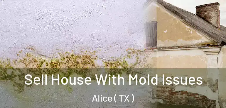  Sell House With Mold Issues Alice ( TX )