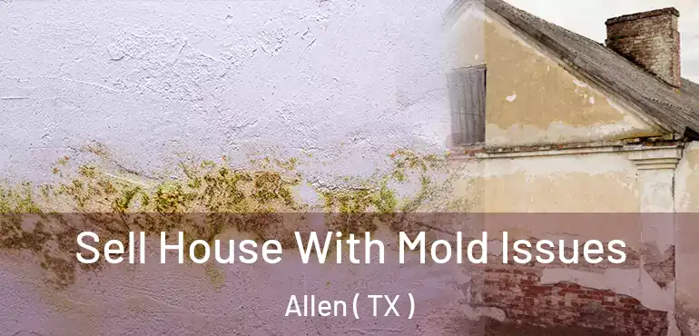  Sell House With Mold Issues Allen ( TX )