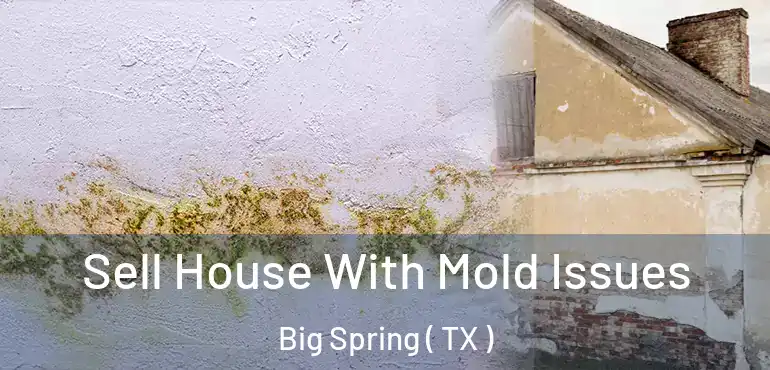  Sell House With Mold Issues Big Spring ( TX )