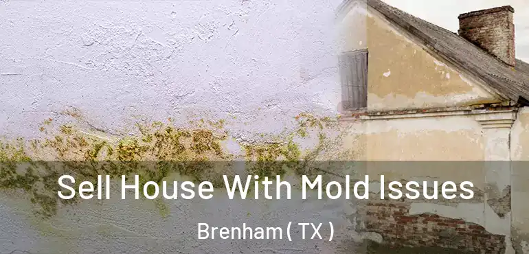  Sell House With Mold Issues Brenham ( TX )