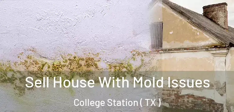  Sell House With Mold Issues College Station ( TX )