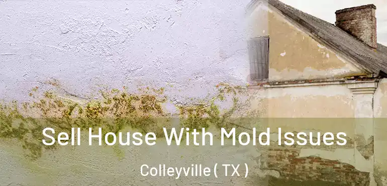  Sell House With Mold Issues Colleyville ( TX )