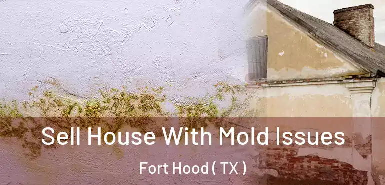  Sell House With Mold Issues Fort Hood ( TX )