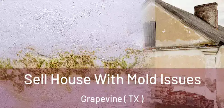  Sell House With Mold Issues Grapevine ( TX )
