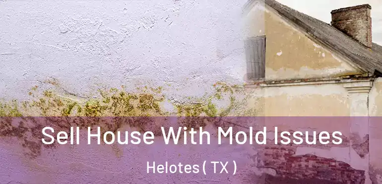  Sell House With Mold Issues Helotes ( TX )