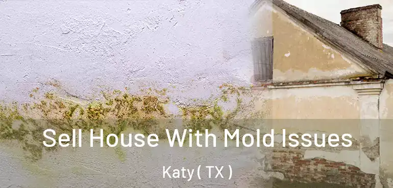  Sell House With Mold Issues Katy ( TX )
