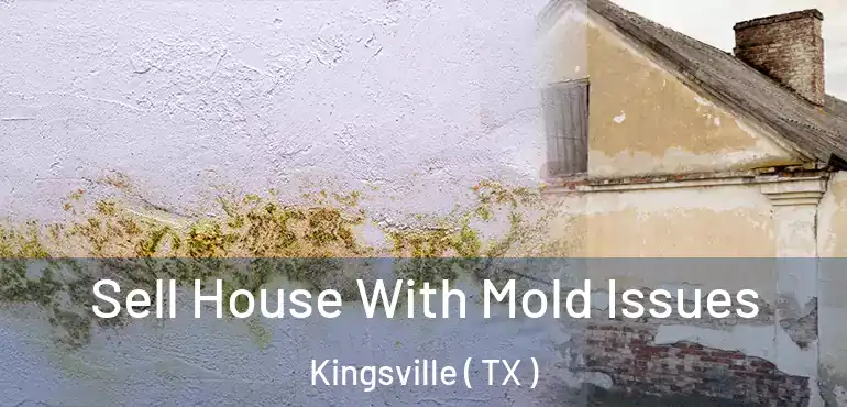  Sell House With Mold Issues Kingsville ( TX )