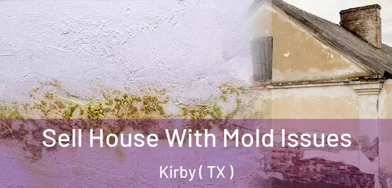  Sell House With Mold Issues Kirby ( TX )