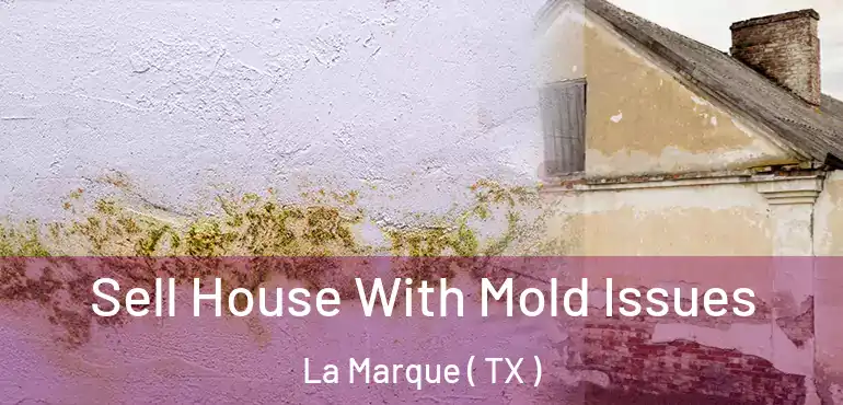  Sell House With Mold Issues La Marque ( TX )