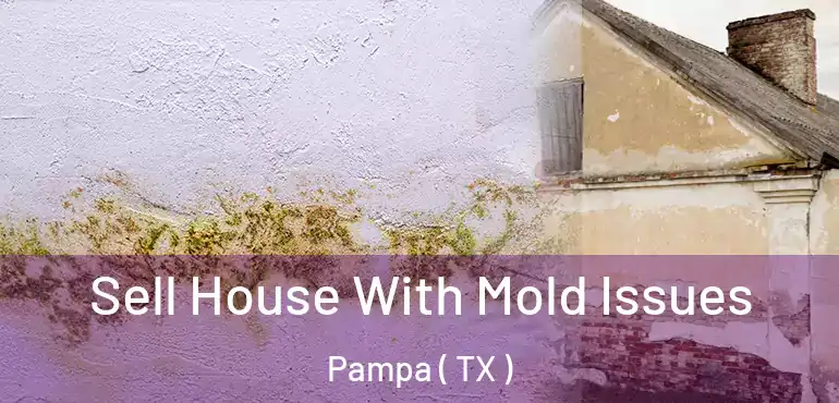  Sell House With Mold Issues Pampa ( TX )