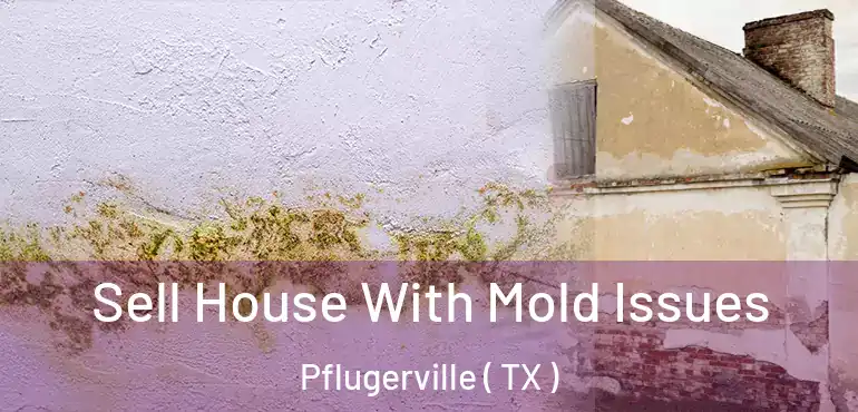  Sell House With Mold Issues Pflugerville ( TX )