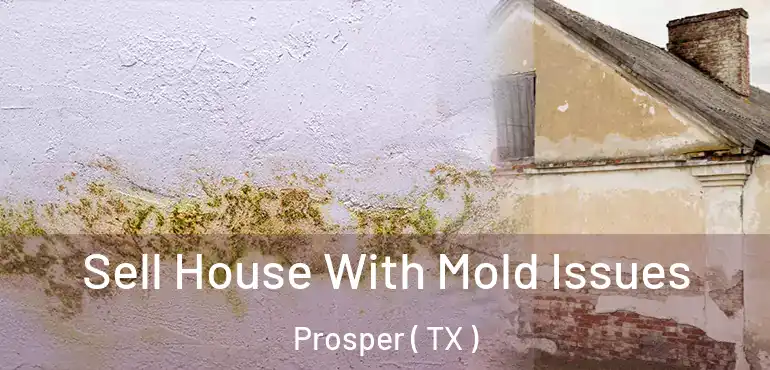  Sell House With Mold Issues Prosper ( TX )