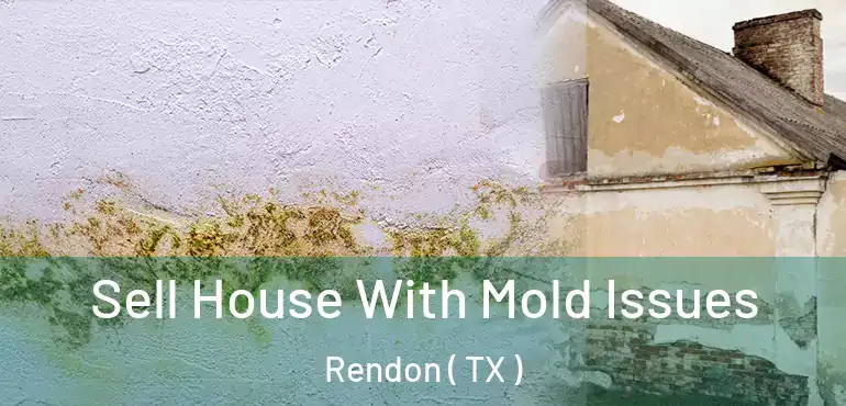  Sell House With Mold Issues Rendon ( TX )