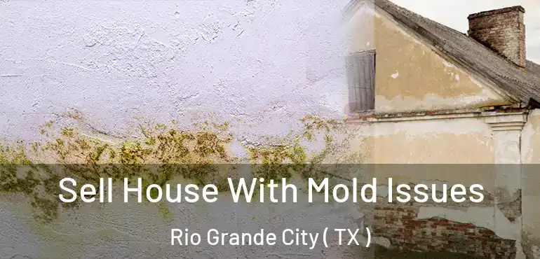  Sell House With Mold Issues Rio Grande City ( TX )