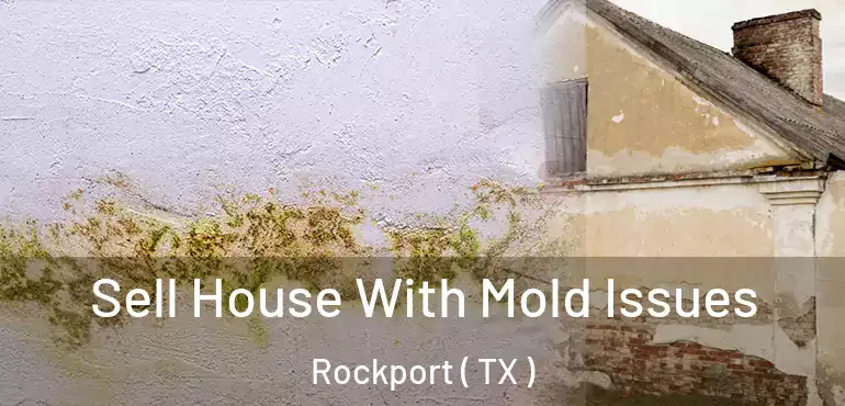  Sell House With Mold Issues Rockport ( TX )