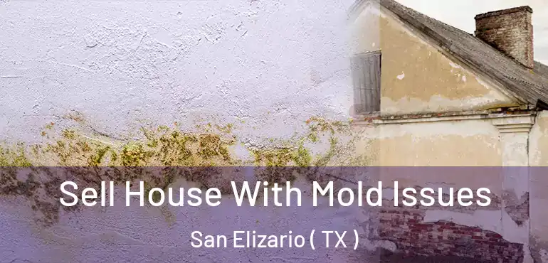  Sell House With Mold Issues San Elizario ( TX )