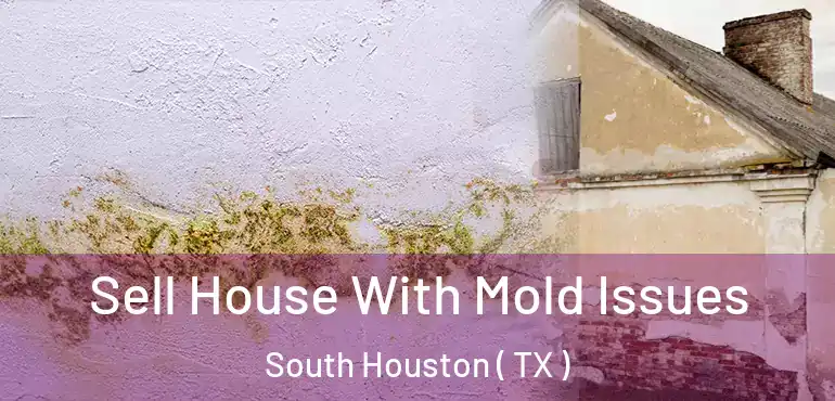  Sell House With Mold Issues South Houston ( TX )