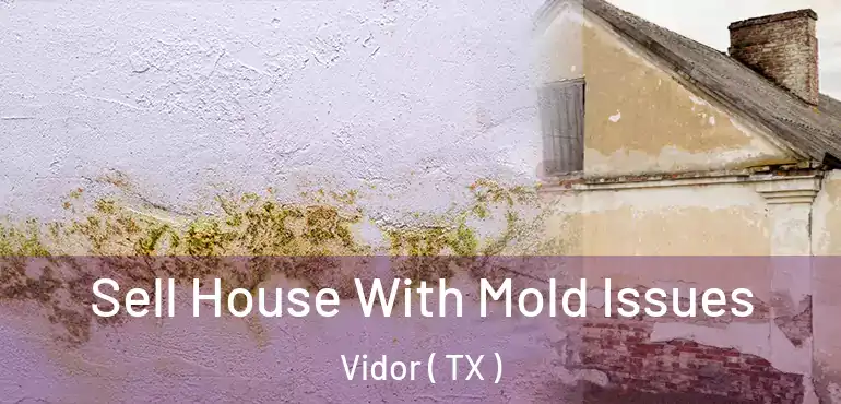  Sell House With Mold Issues Vidor ( TX )