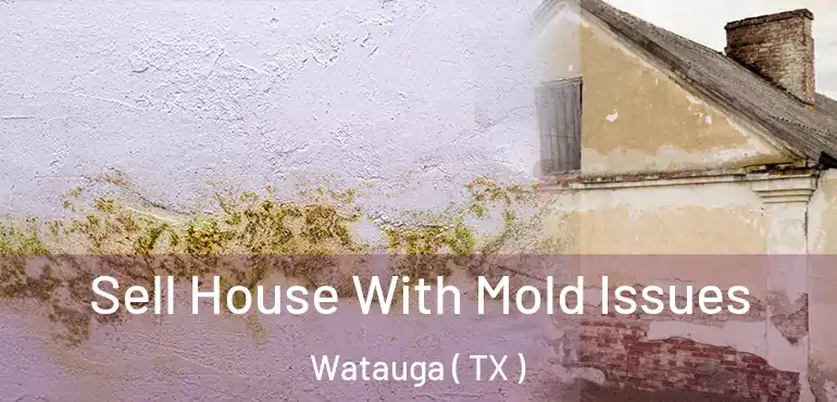  Sell House With Mold Issues Watauga ( TX )