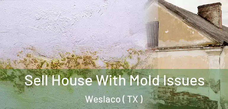  Sell House With Mold Issues Weslaco ( TX )