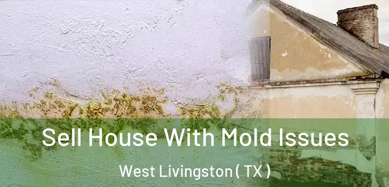  Sell House With Mold Issues West Livingston ( TX )