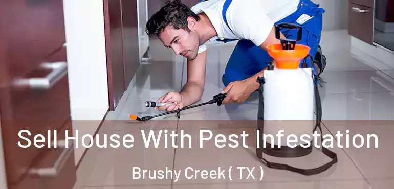  Sell House With Pest Infestation Brushy Creek ( TX )
