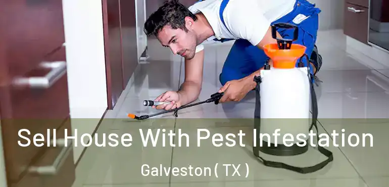  Sell House With Pest Infestation Galveston ( TX )