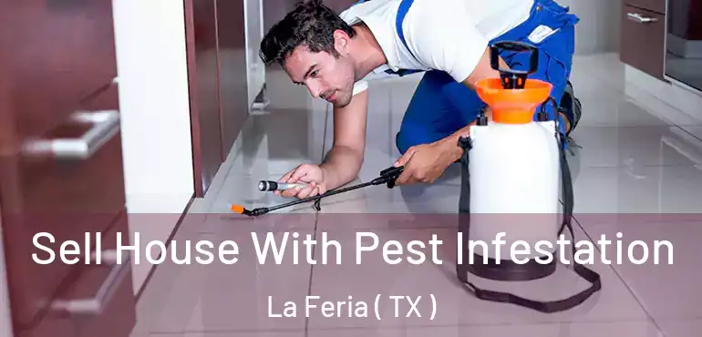  Sell House With Pest Infestation La Feria ( TX )