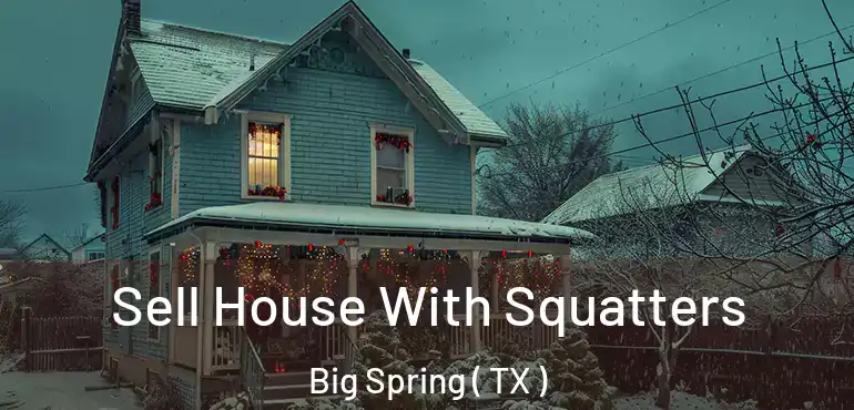  Sell House With Squatters Big Spring ( TX )