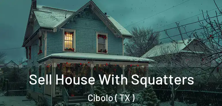  Sell House With Squatters Cibolo ( TX )