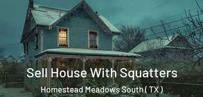  Sell House With Squatters Homestead Meadows South ( TX )