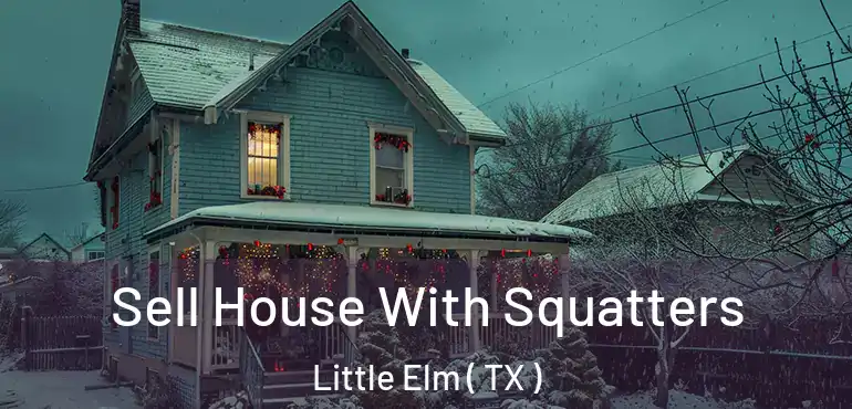 Sell House With Squatters Little Elm ( TX )