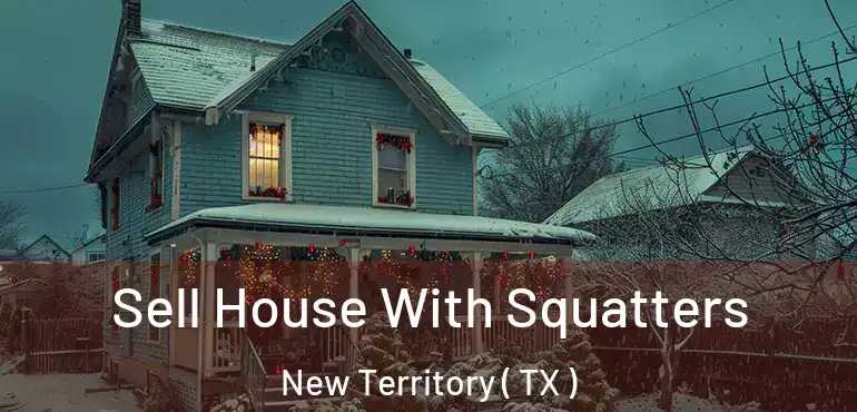  Sell House With Squatters New Territory ( TX )