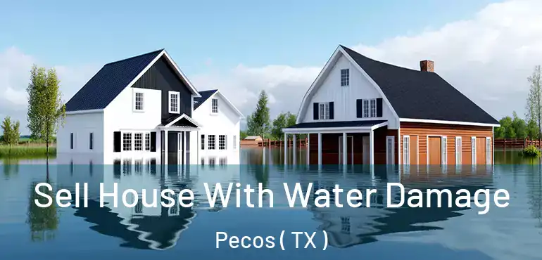  Sell House With Water Damage Pecos ( TX )