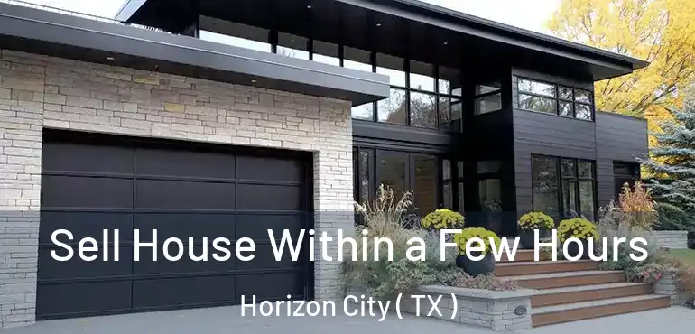  Sell House Within a Few Hours Horizon City ( TX )