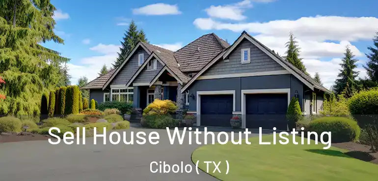  Sell House Without Listing Cibolo ( TX )