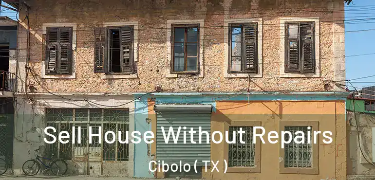  Sell House Without Repairs Cibolo ( TX )