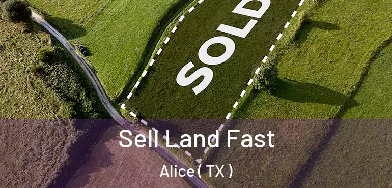  Sell Land Fast Alice ( TX )