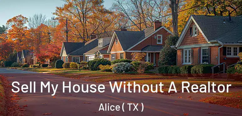  Sell My House Without A Realtor Alice ( TX )
