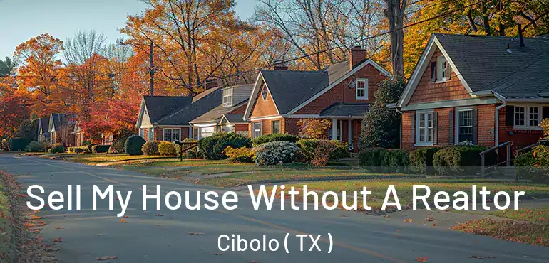  Sell My House Without A Realtor Cibolo ( TX )