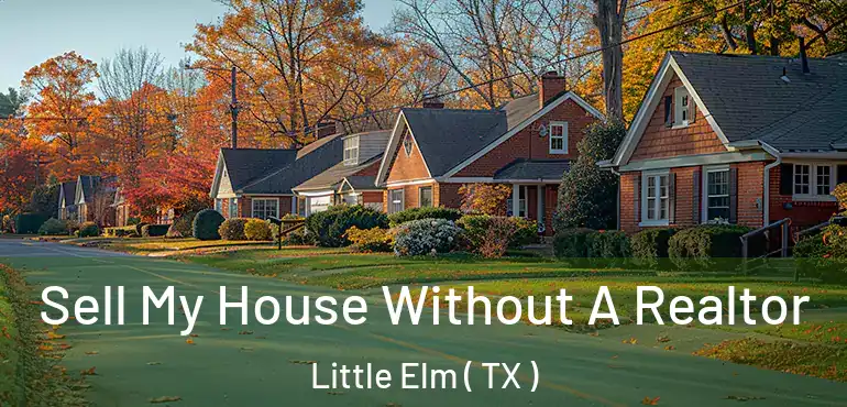  Sell My House Without A Realtor Little Elm ( TX )