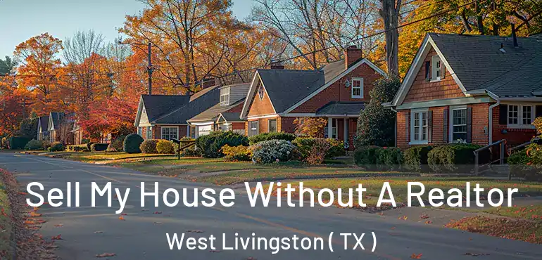  Sell My House Without A Realtor West Livingston ( TX )