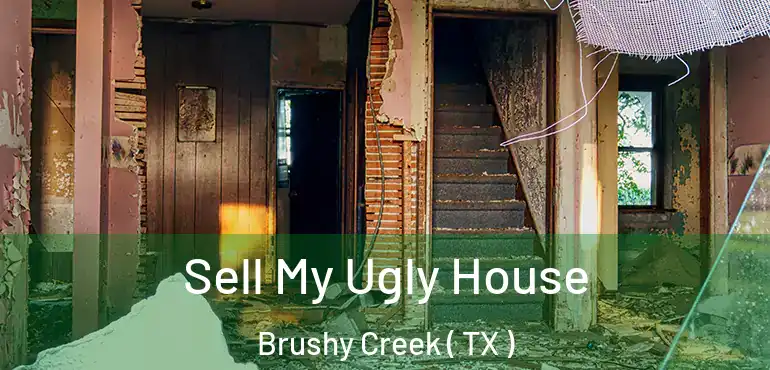  Sell My Ugly House Brushy Creek ( TX )