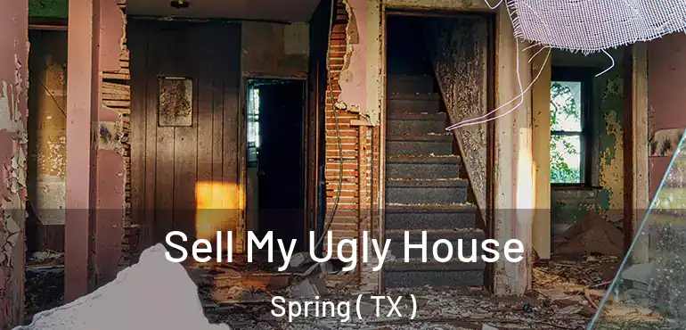  Sell My Ugly House Spring ( TX )