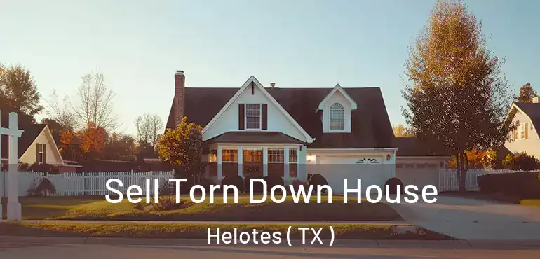  Sell Torn Down House Helotes ( TX )